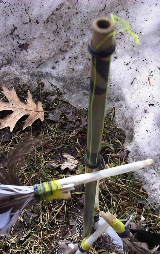 Homemade Coyote Decoy Homemade Ftempo